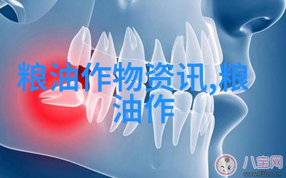 福建福安土豆新品种示范成果丰硕