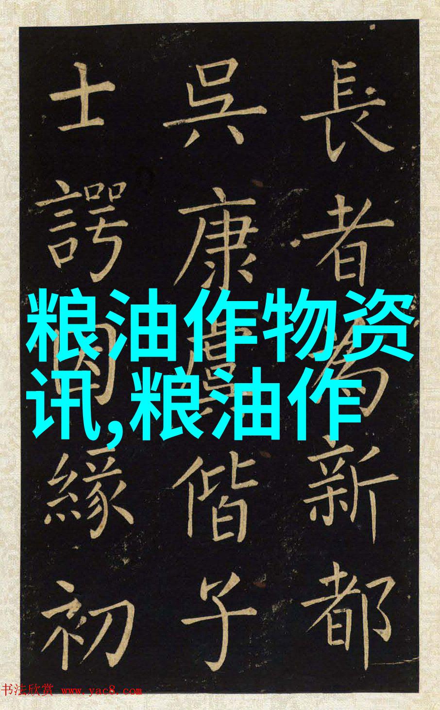 掌握花卉苗木市场细分策略的最佳指南