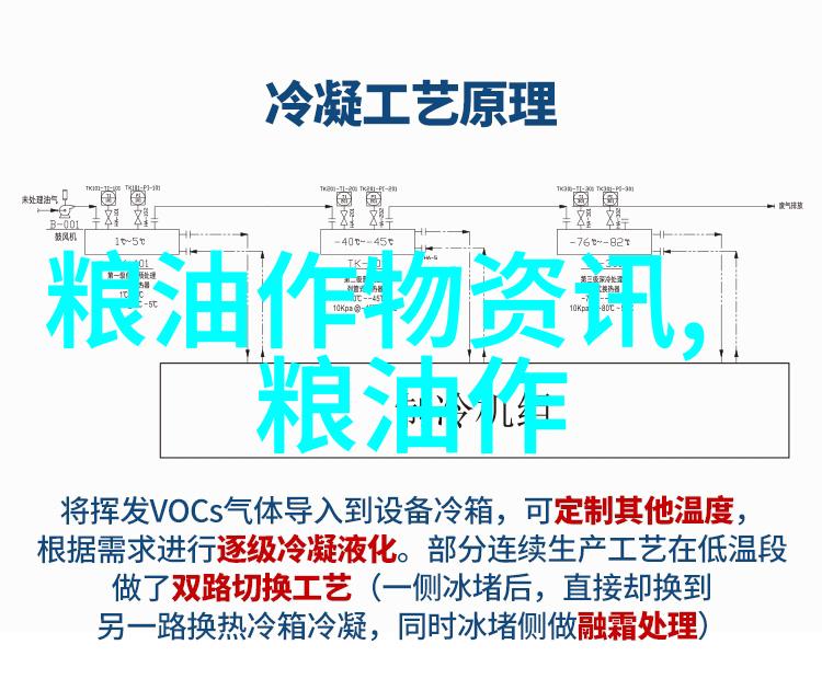 长岭县乔家村黑豆种植效益高